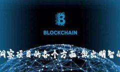 如何在Tokenim查看ICO信息：完整指南与实用技巧